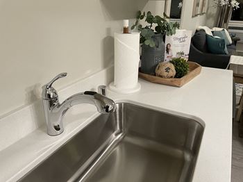 Moen faucet